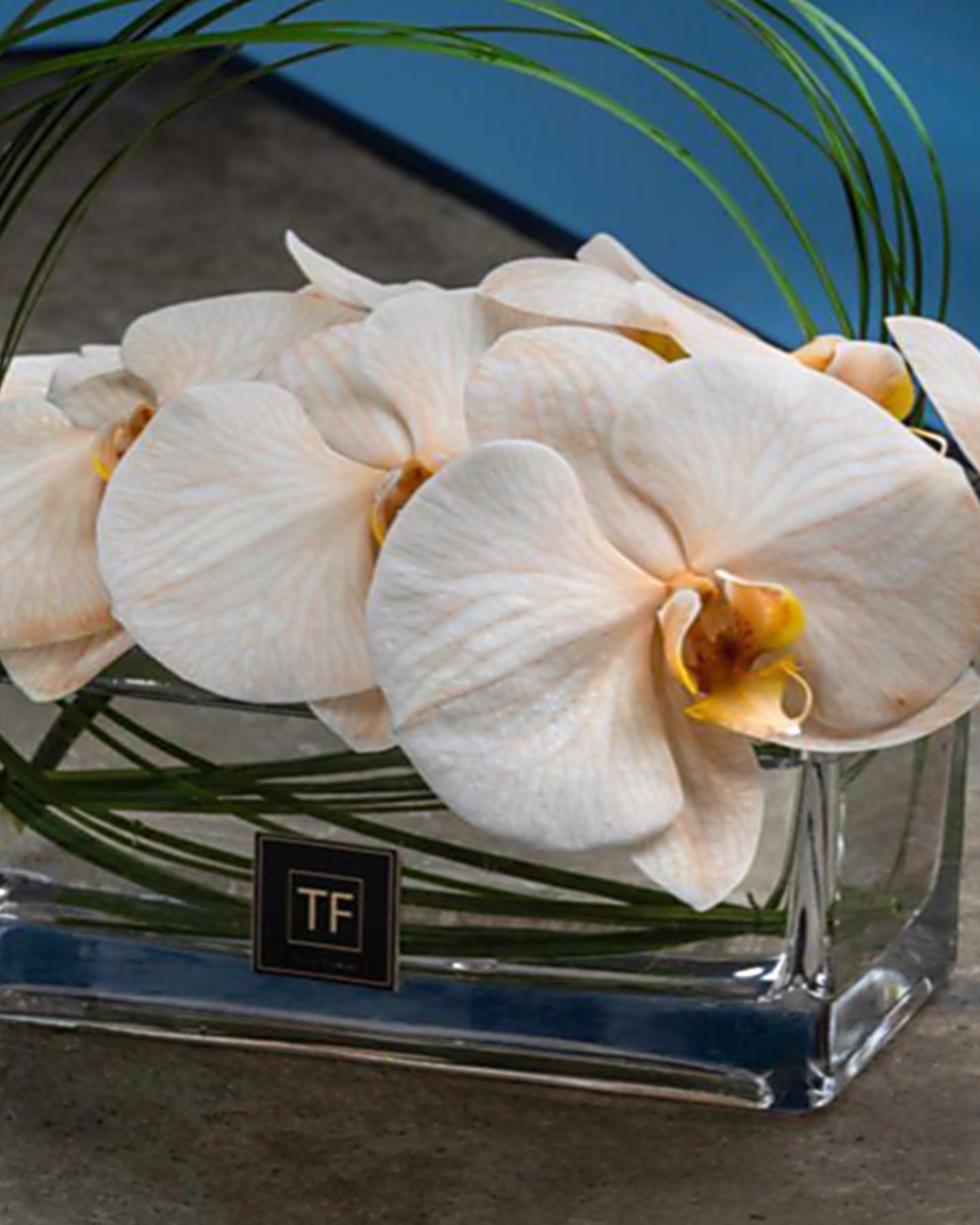 Orchid & Steel Grass Arrangement