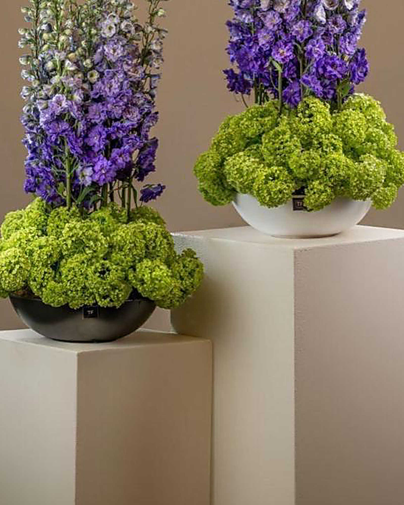 Hydrangea & Delphinium Statement Arrangement