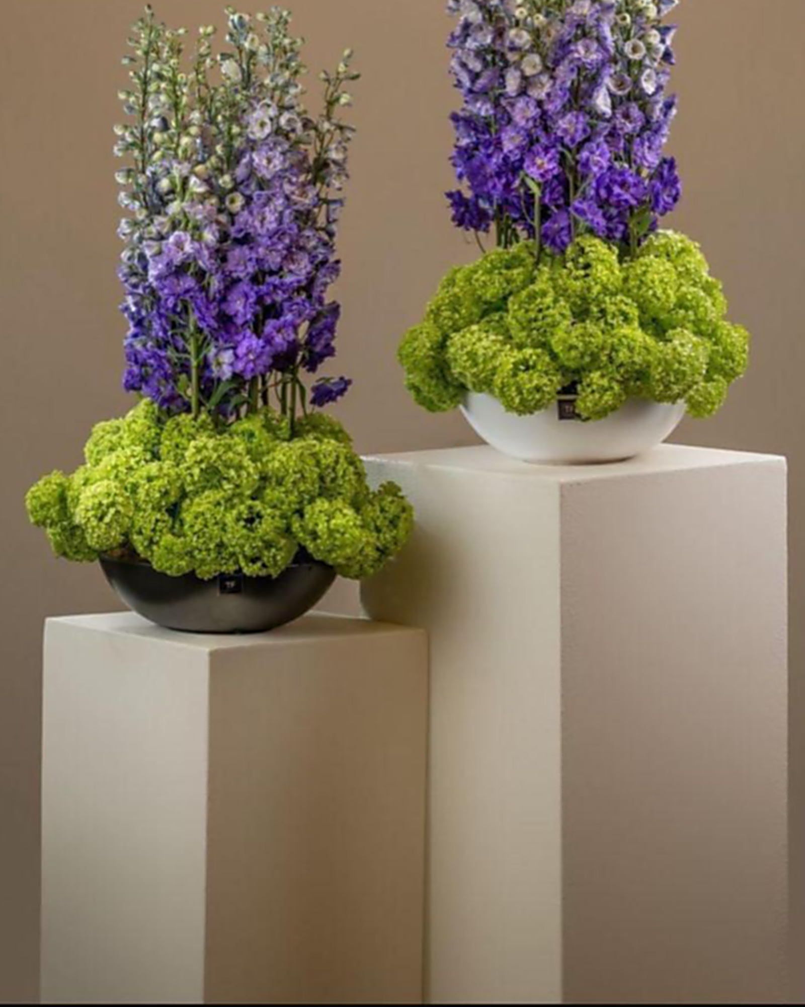 Hydrangea & Delphinium Statement Arrangement